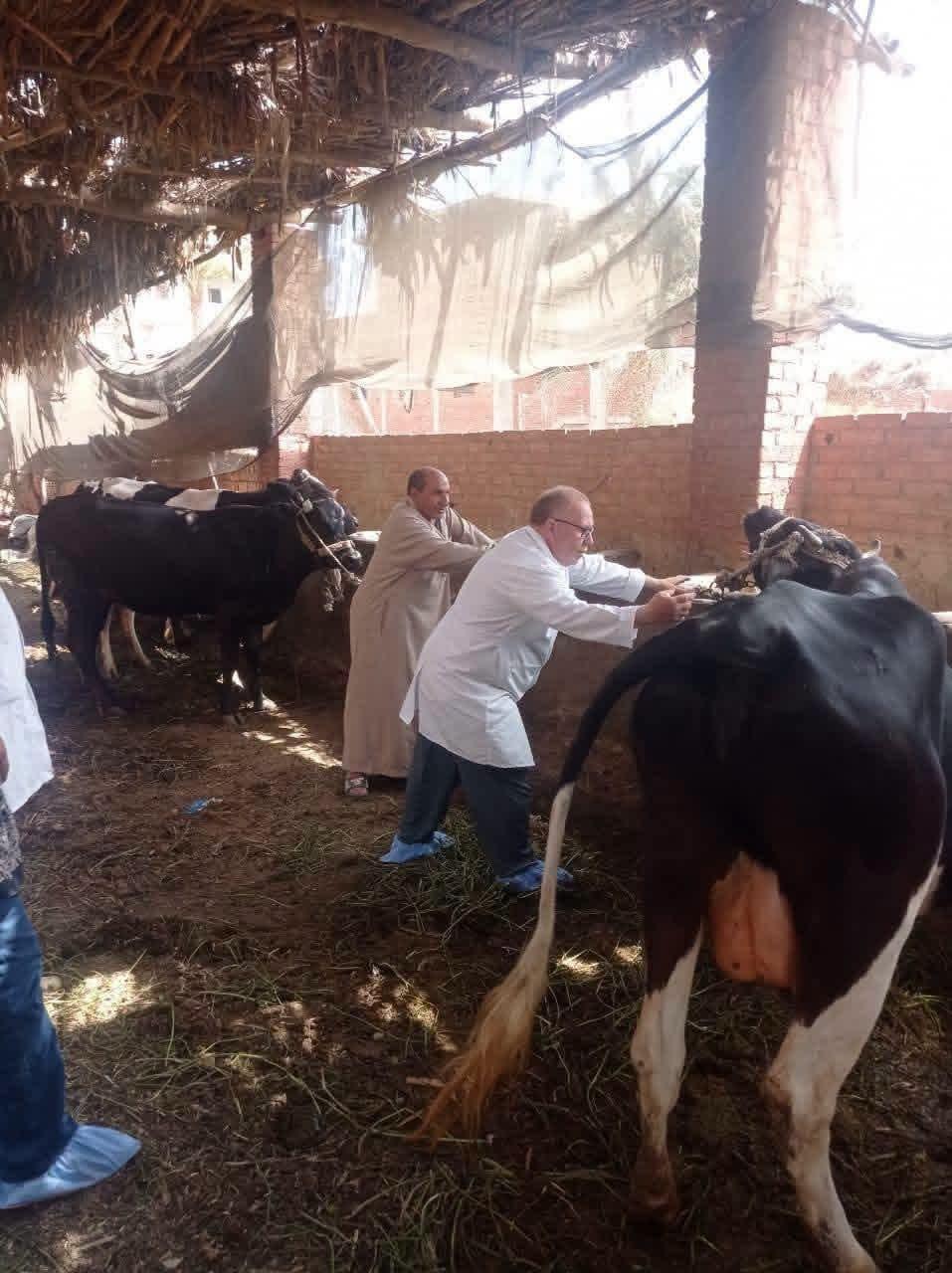 Livestock Vaccination