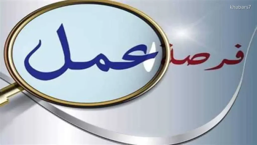 Giza Announces 580 Job Opportunities for Youth: Specializations and Application Date