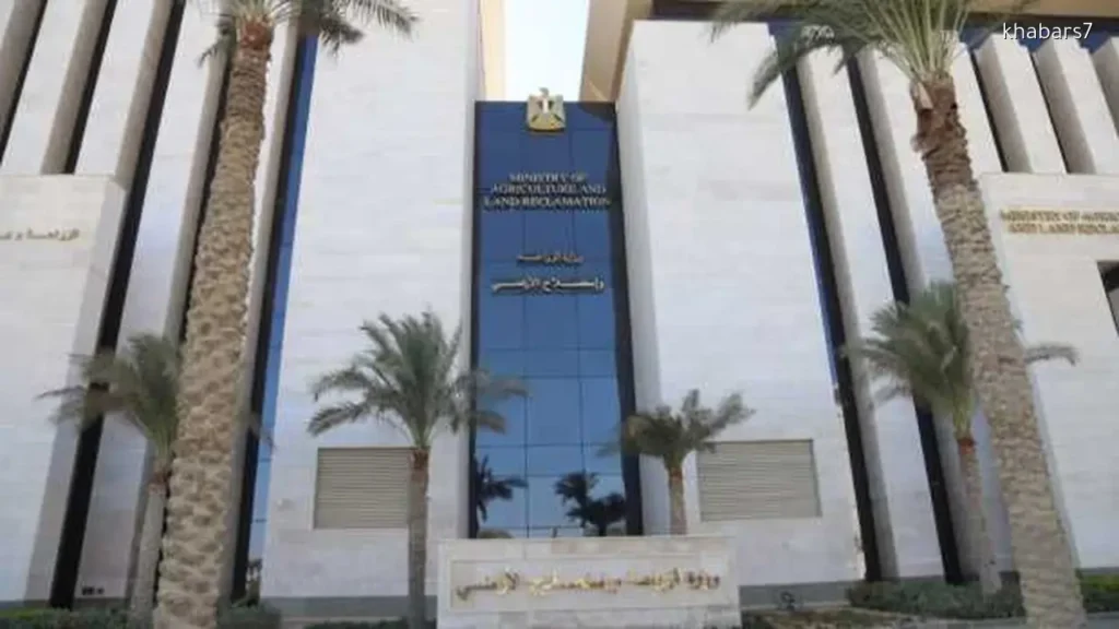 Egypt’s Agriculture Ministry Confirms Regulation of Ripening Agents