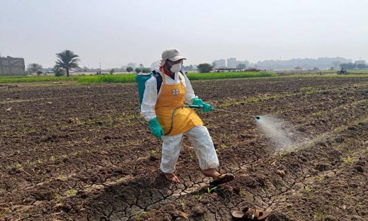 Crop Protection