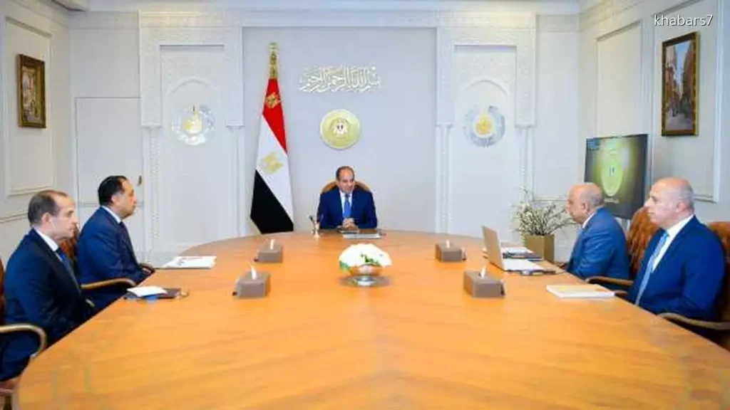 Sisi Emphasizes Need to Enhance Electric Supply Quality and Fuel Efficiency
