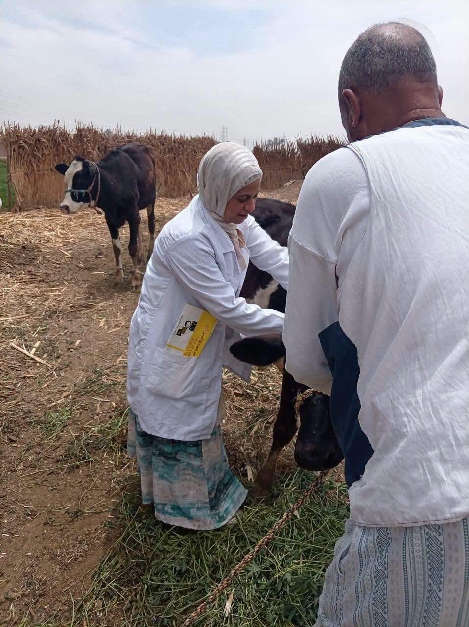 Livestock Vaccination