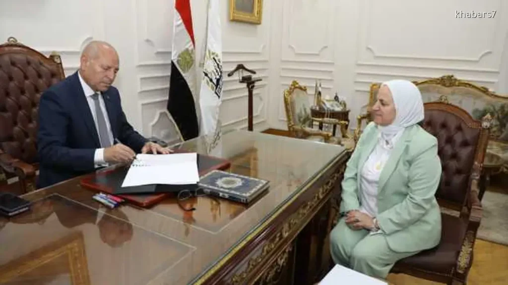 Cairo Announces 73% Success Rate for Intermediate Certificate Exams
