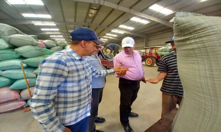 Wheat Supply in <a href=