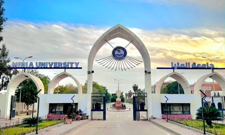 Minya University Hospitals