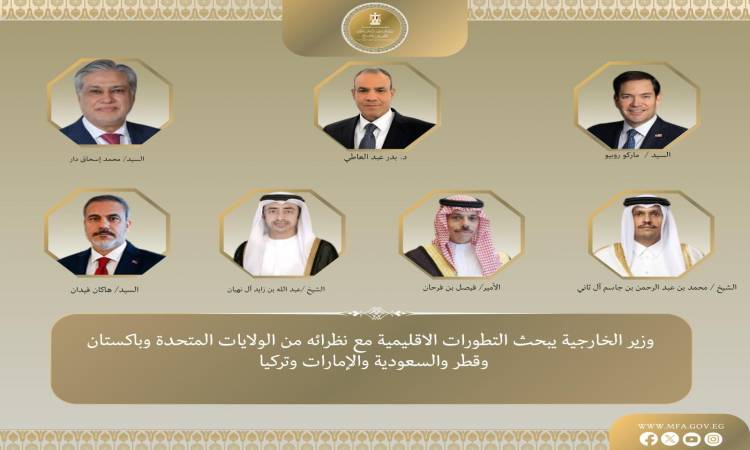 Egypt's Foreign Minister and Counterparts from Six Countries