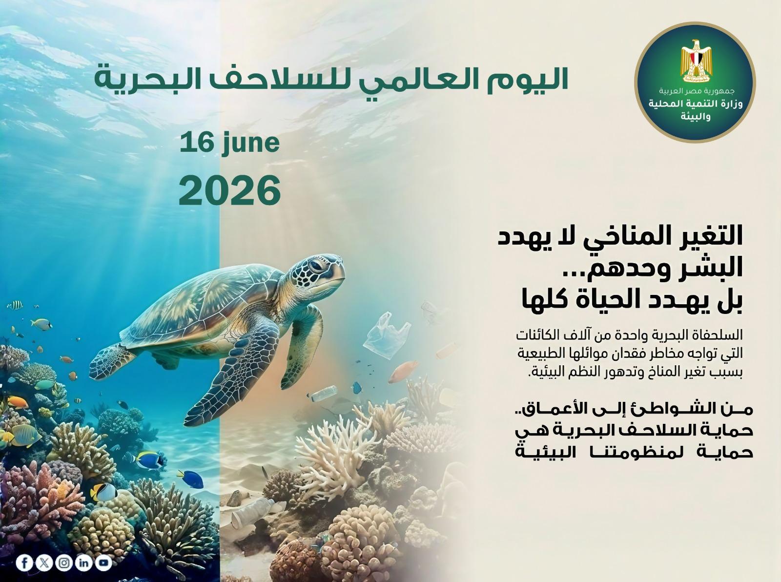 Sea Turtles Conservation