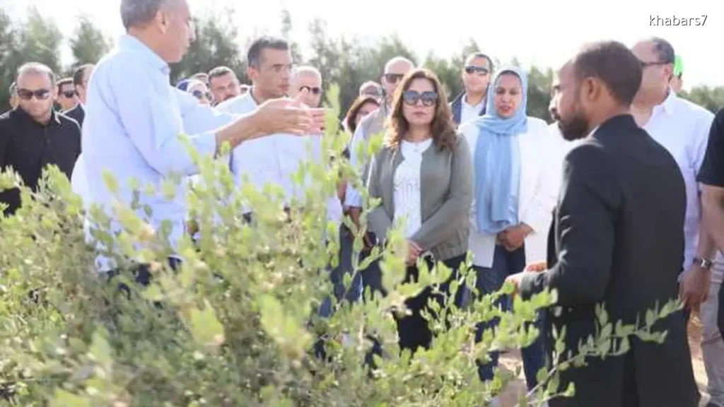 Red Sea Jojoba Project Showcases Green Economy and Sustainable Development, Says Minister