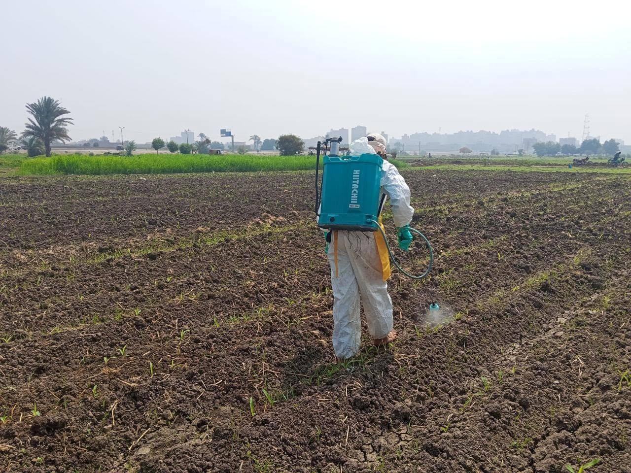 Crop Protection