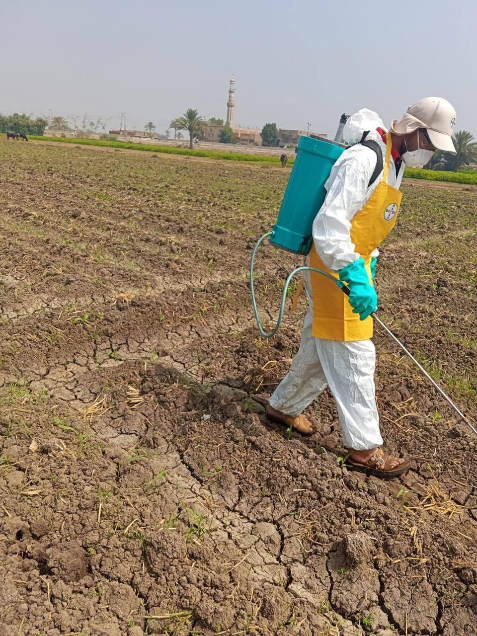 Crop Protection