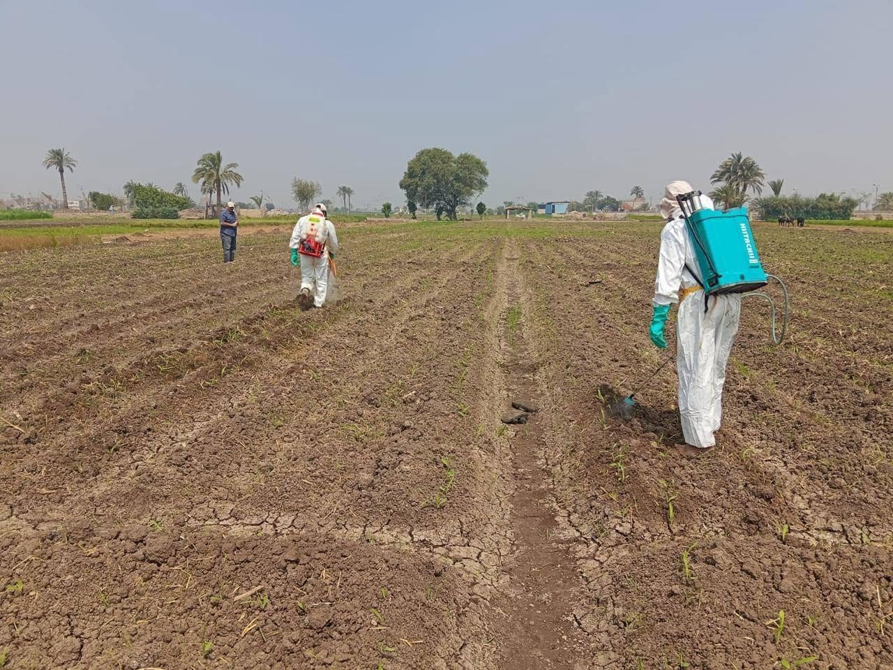 Crop Protection
