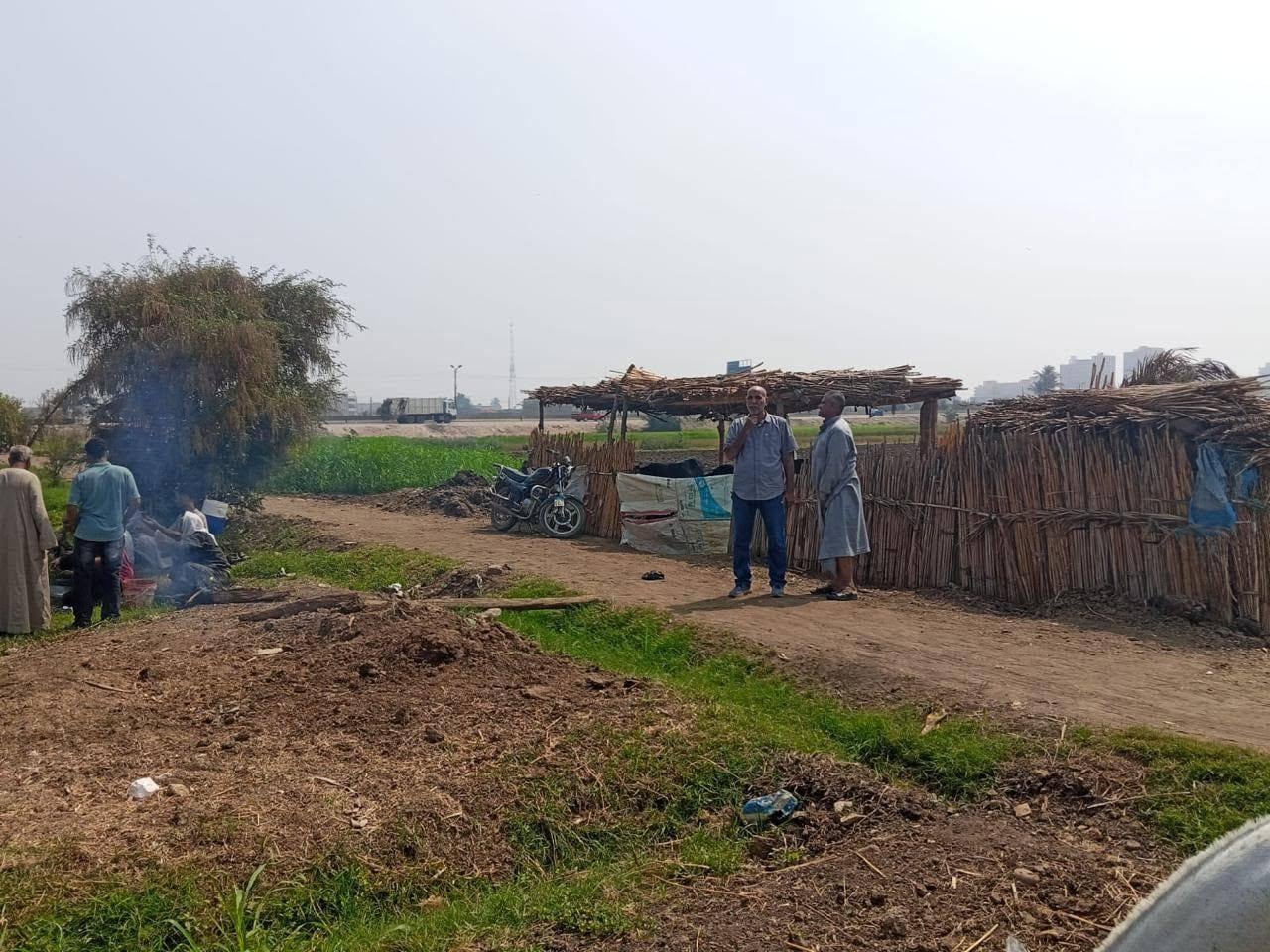 Crop Protection