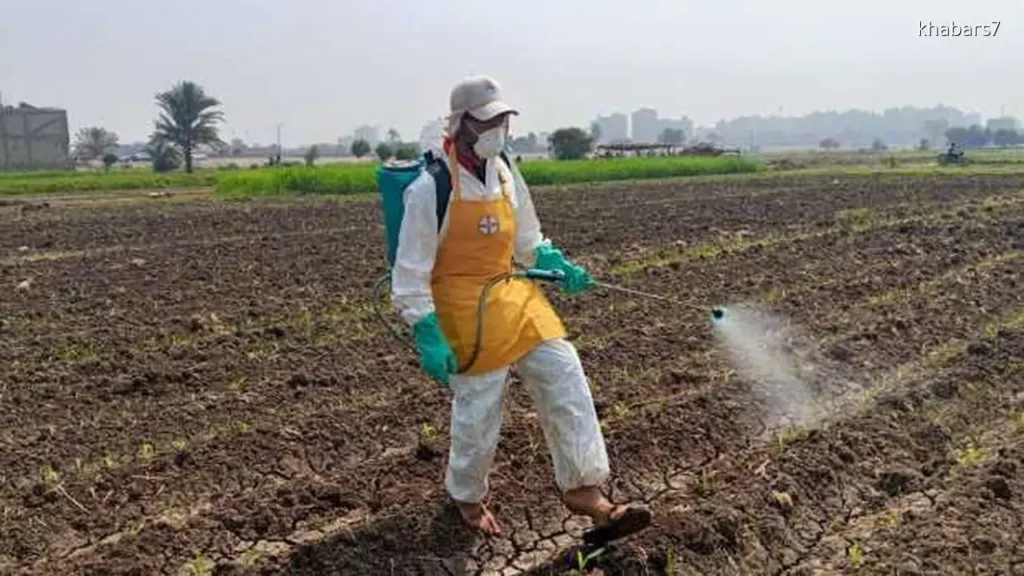 Egypt’s Agriculture Ministry Launches Intensive Measures to Protect Crops from Pests