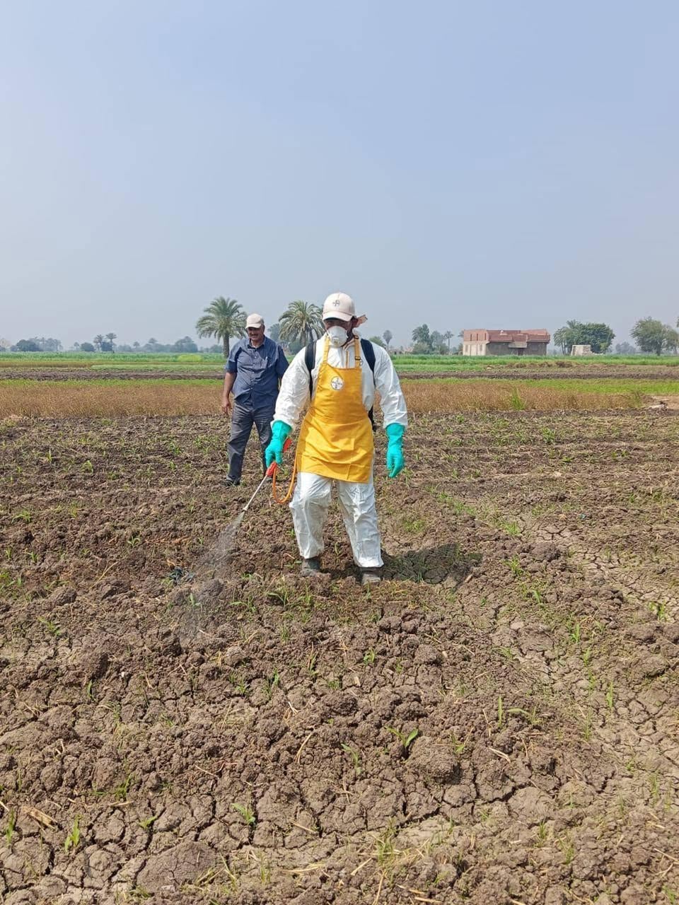Crop Protection