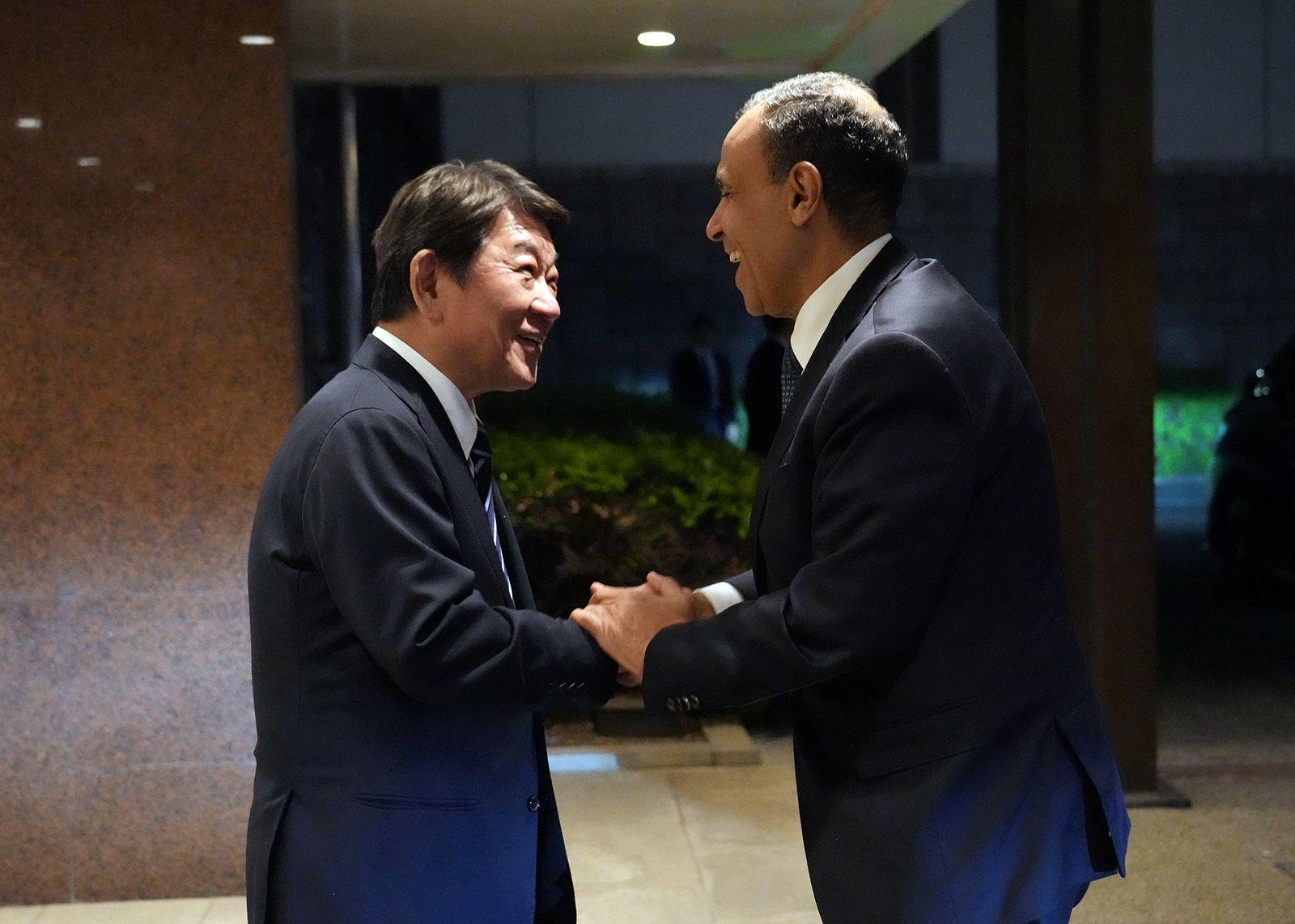 Egypt and Japan Foreign Ministers