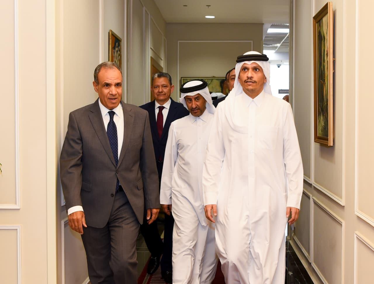 Meeting between the Egyptian and Qatari Foreign Ministers