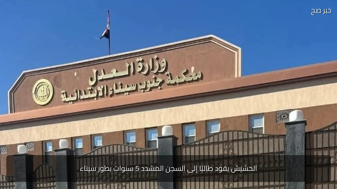 الحشيش يقود طالبًا إلى السجن المشدد 5 سنوات بطور سيناء