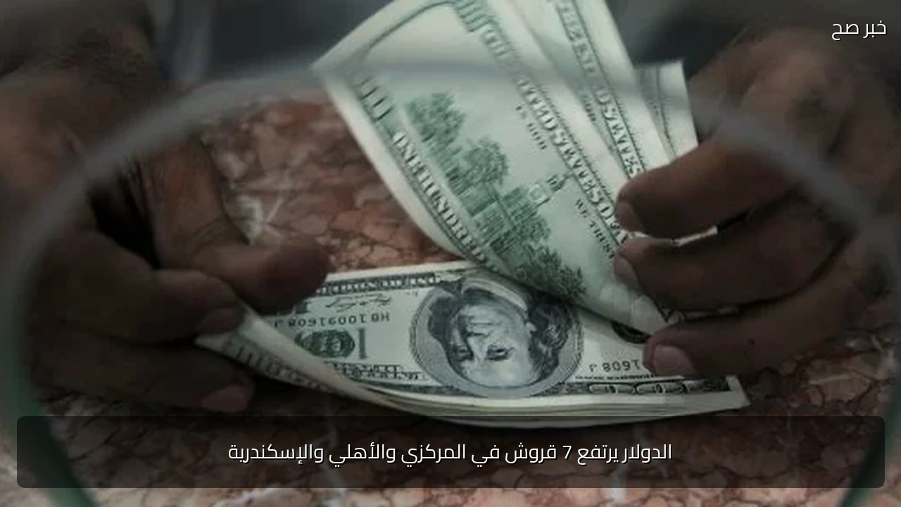 الدولار يرتفع 7 قروش في المركزي والأهلي والإسكندرية