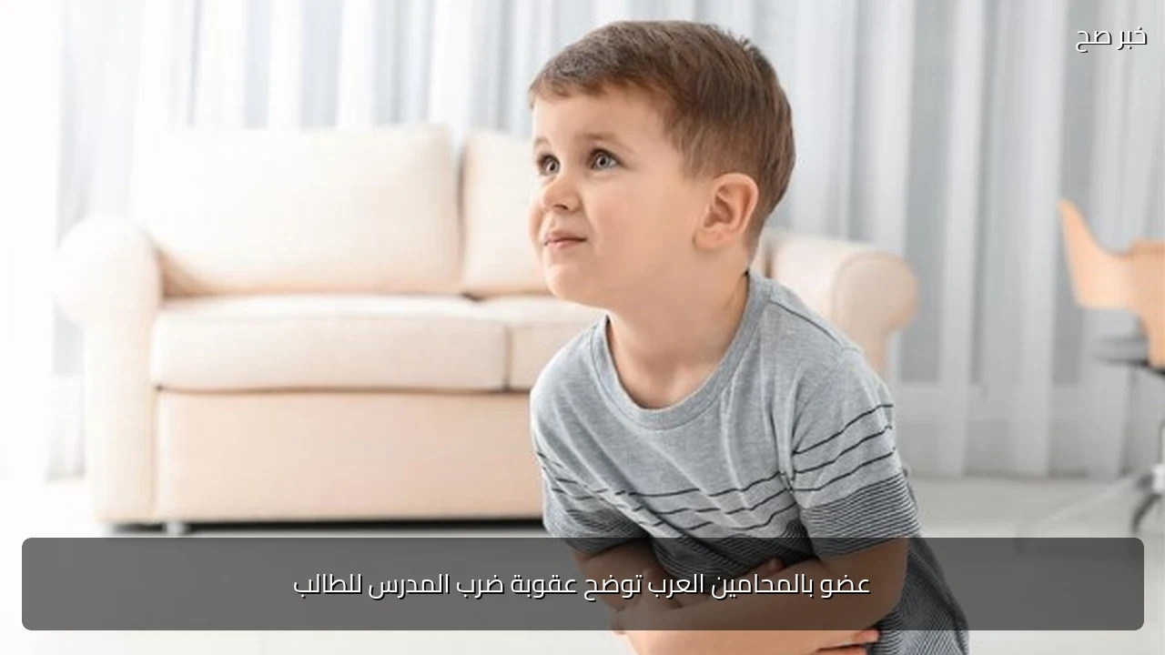 عضو بالمحامين العرب توضح عقوبة ضرب المدرس للطالب