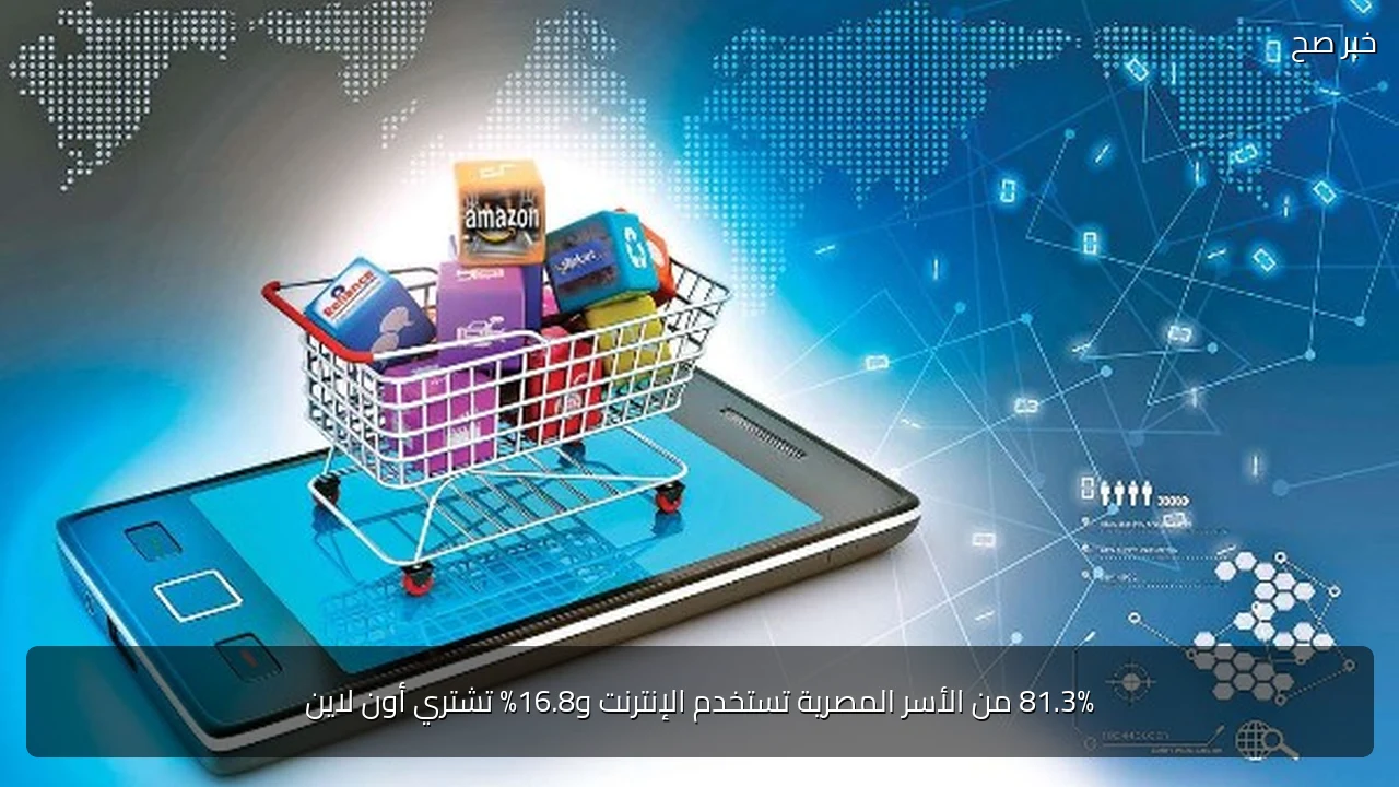 81.3% من الأسر المصرية تستخدم الإنترنت و16.8% تشتري أون لاين