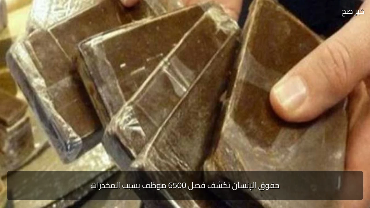 حقوق الإنسان تكشف فصل 6500 موظف بسبب المخدرات