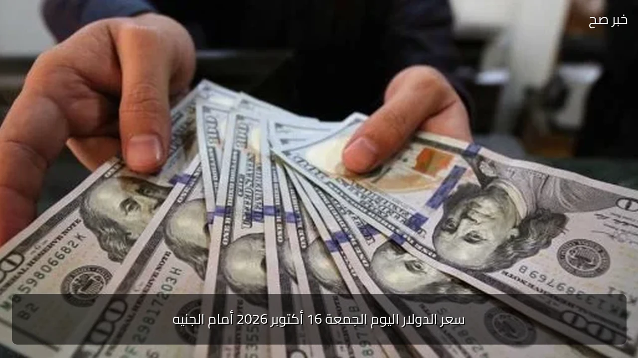 سعر الدولار اليوم الجمعة 16 أكتوبر 2026 أمام الجنيه