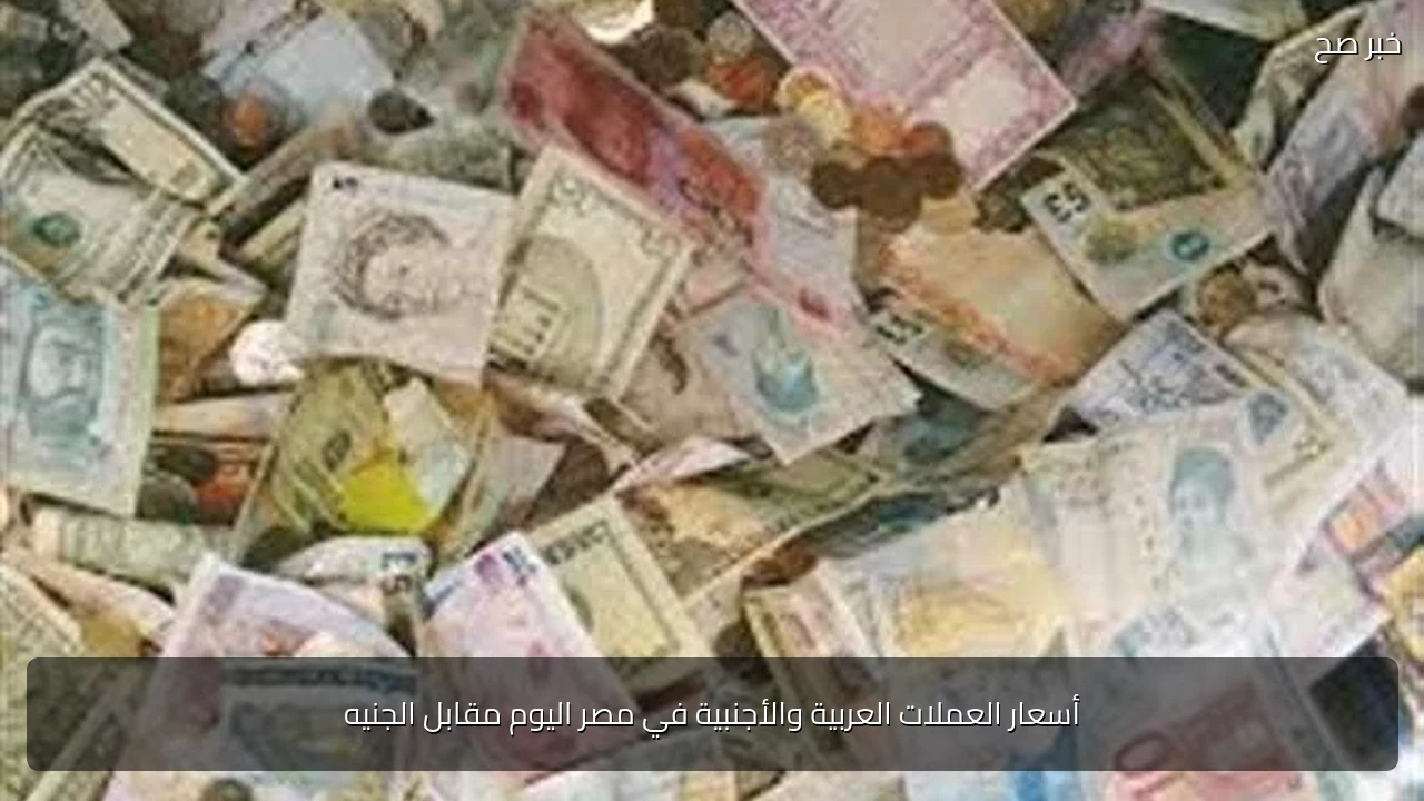 أسعار العملات العربية والأجنبية في مصر اليوم مقابل الجنيه