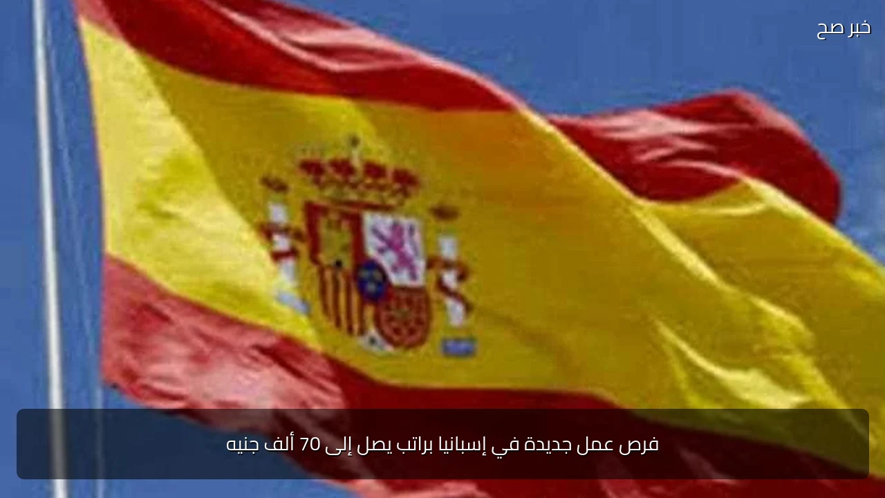 فرص عمل جديدة في إسبانيا براتب يصل إلى 70 ألف جنيه