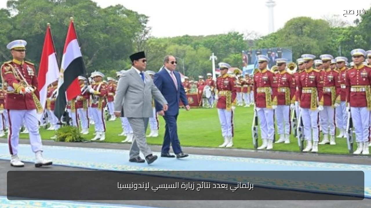 برلماني يعدد نتائج زيارة السيسي لإندونيسيا