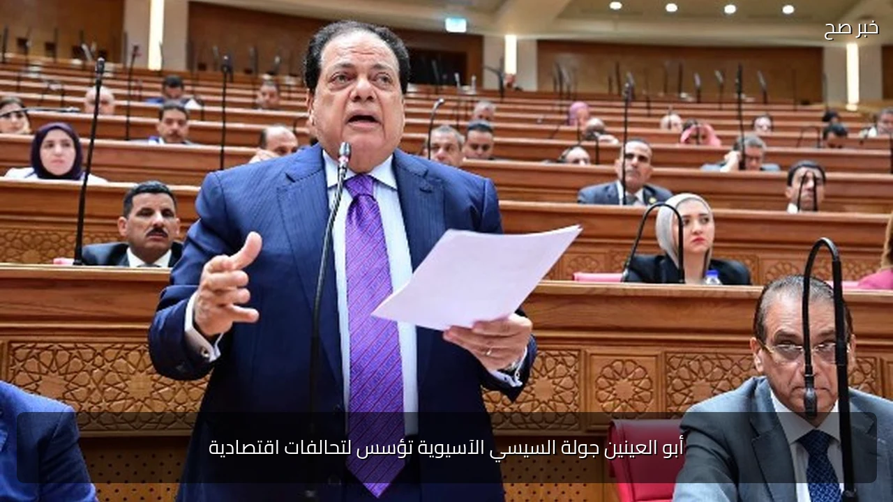 أبو العينين جولة السيسي الآسيوية تؤسس لتحالفات اقتصادية