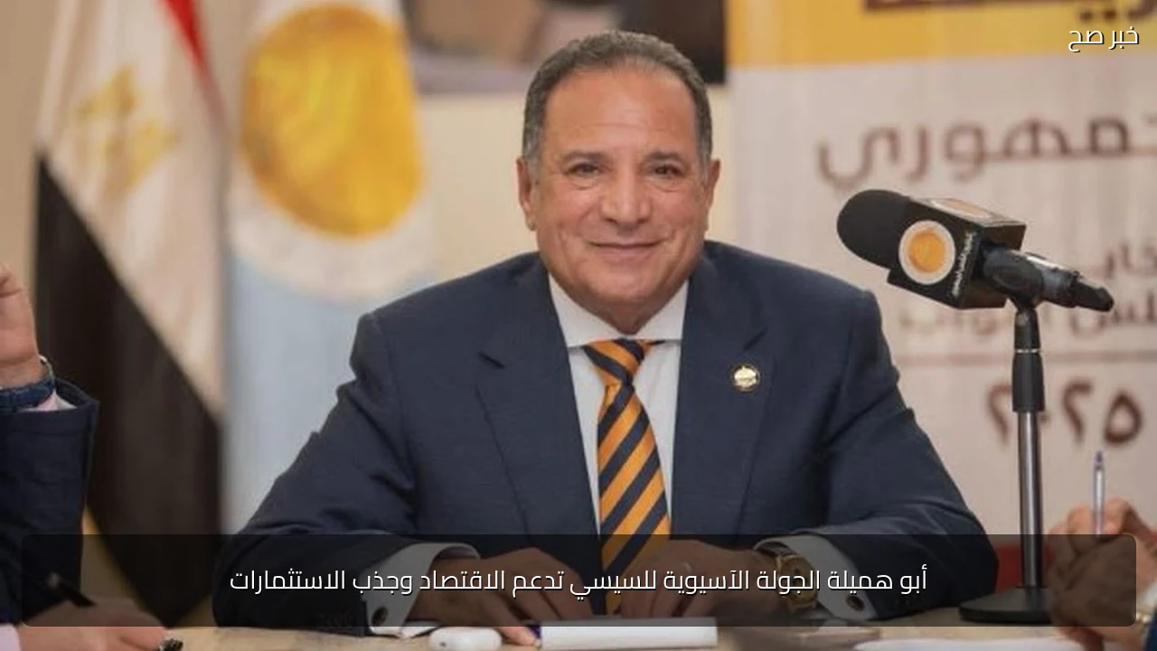 أبو هميلة الجولة الآسيوية للسيسي تدعم الاقتصاد وجذب الاستثمارات