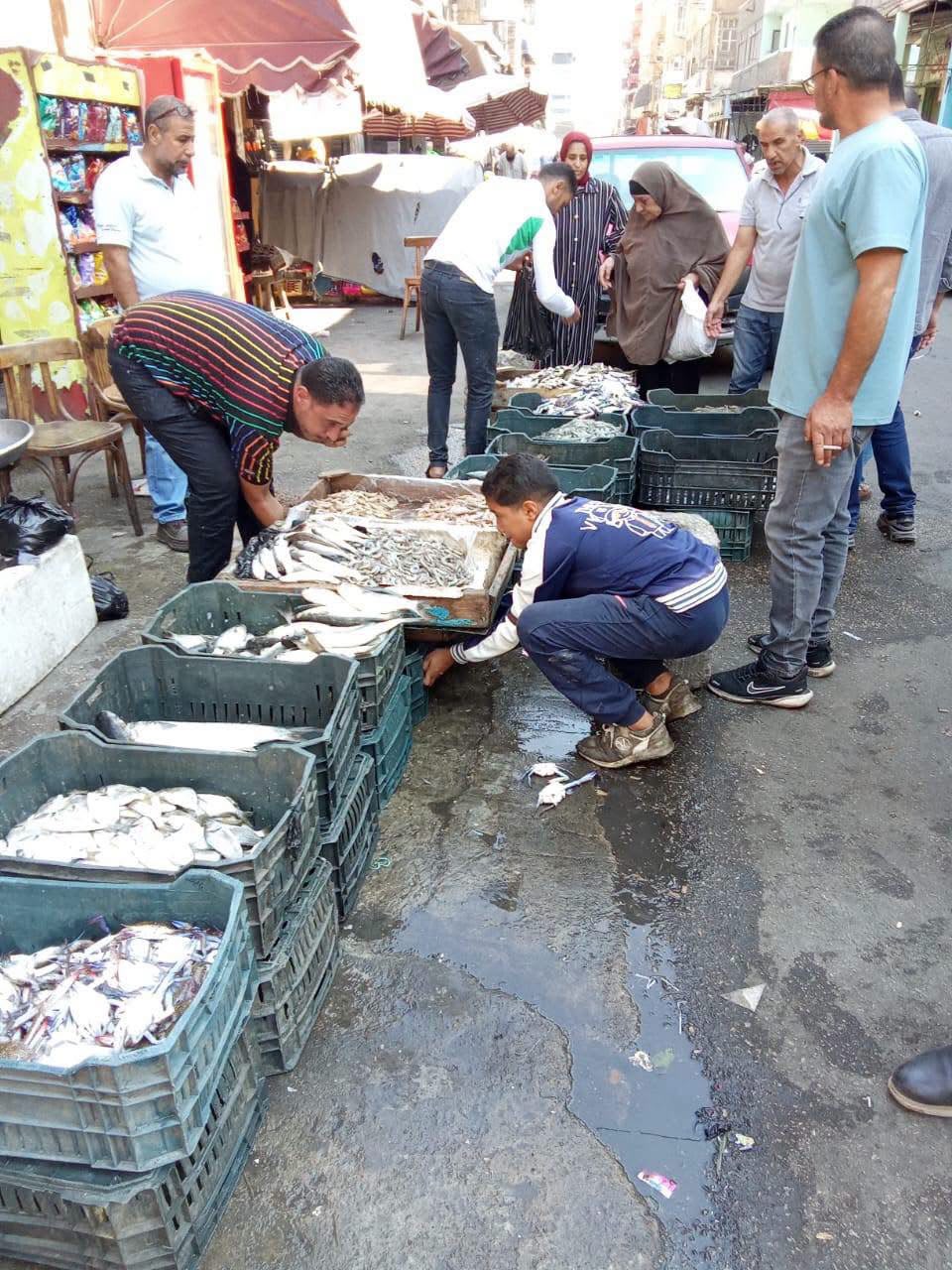 أحياء بورسعيد تواصل حملات الانضباط ورفع كفاءة الشوارع أحياء بورسعيد تواصل حملات الانضباط ورفع كفاءة الشوارع