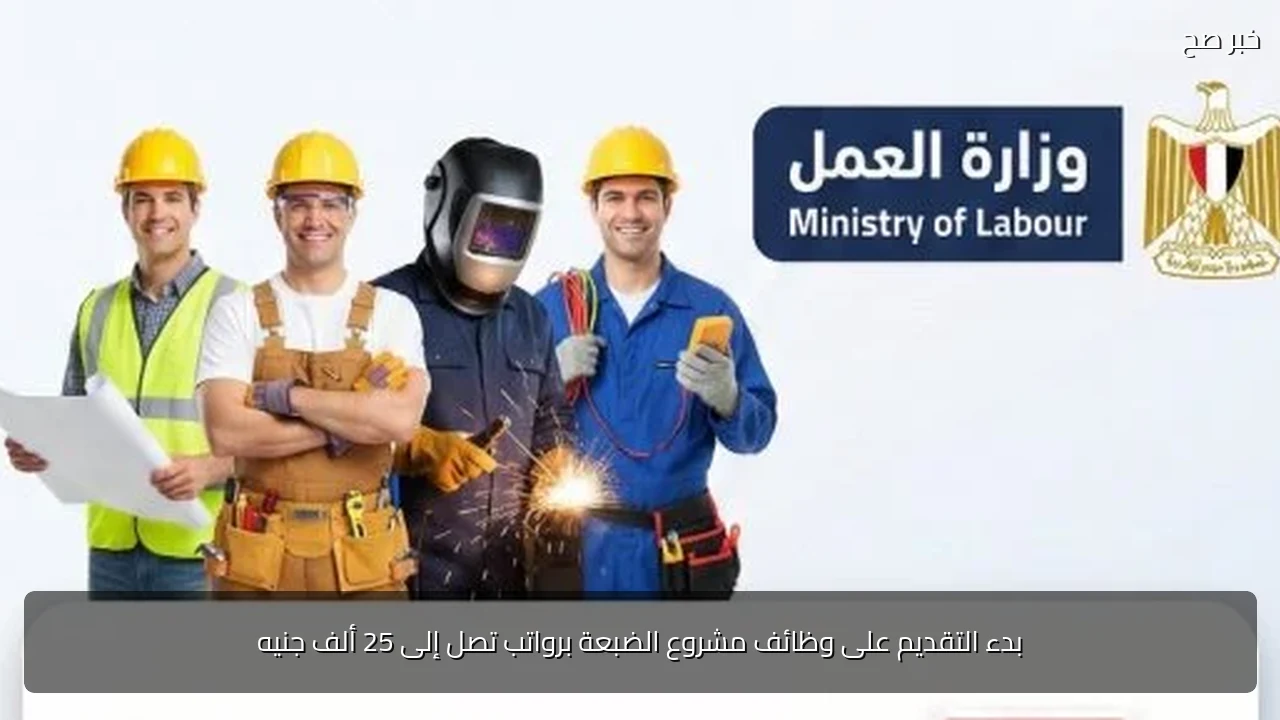 بدء التقديم على وظائف مشروع الضبعة برواتب تصل إلى 25 ألف جنيه