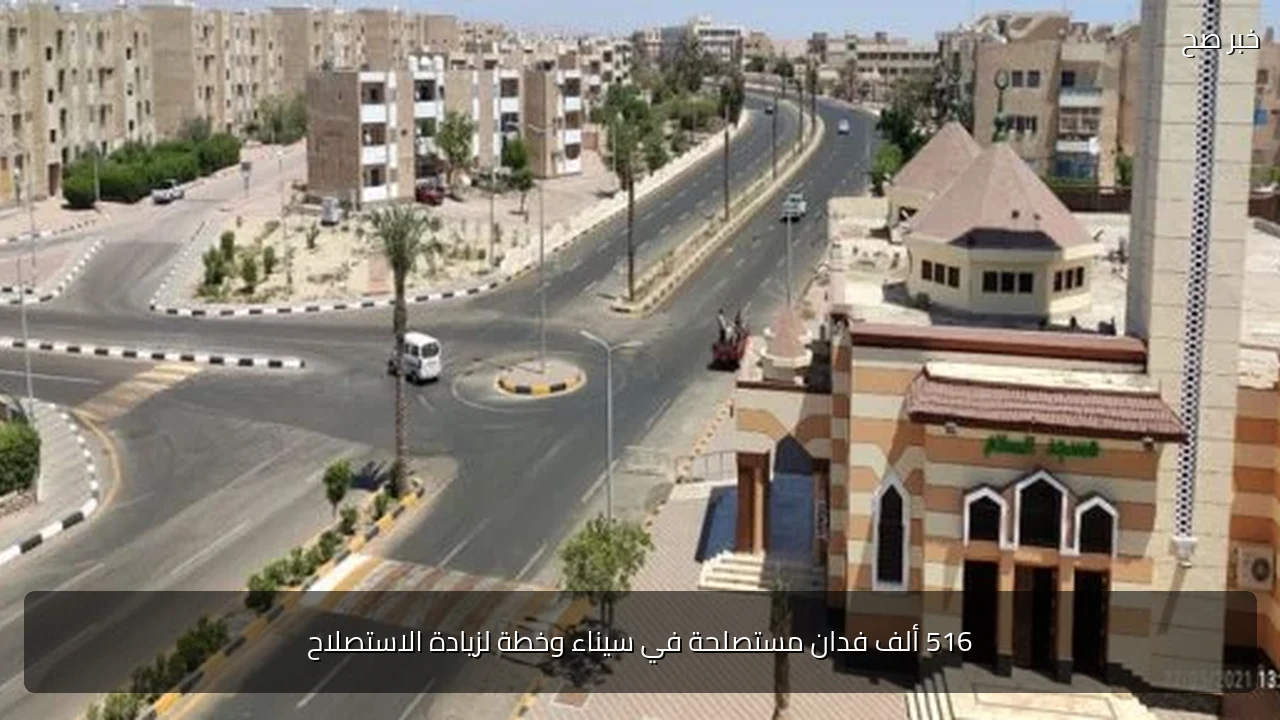516 ألف فدان مستصلحة في سيناء وخطة لزيادة الاستصلاح