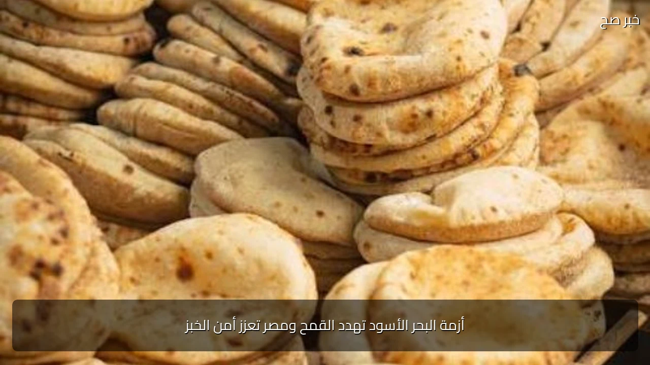 أزمة البحر الأسود تهدد القمح ومصر تعزز أمن الخبز