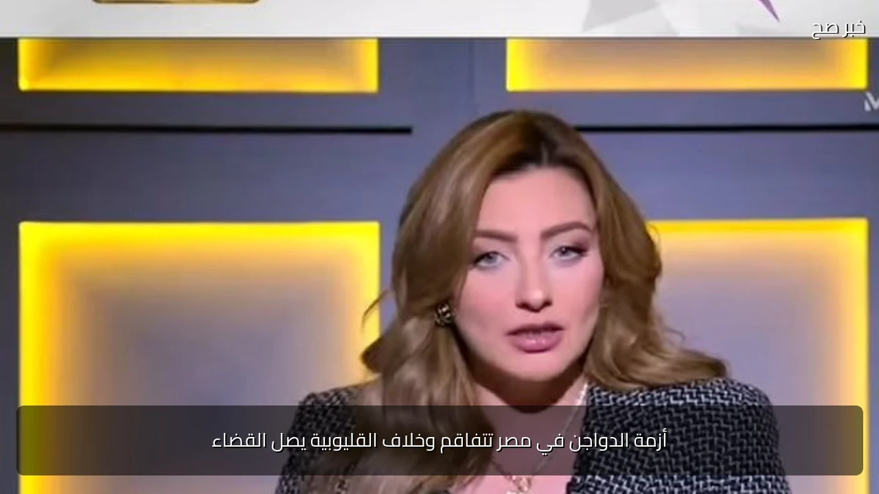 أزمة الدواجن في مصر تتفاقم وخلاف القليوبية يصل القضاء