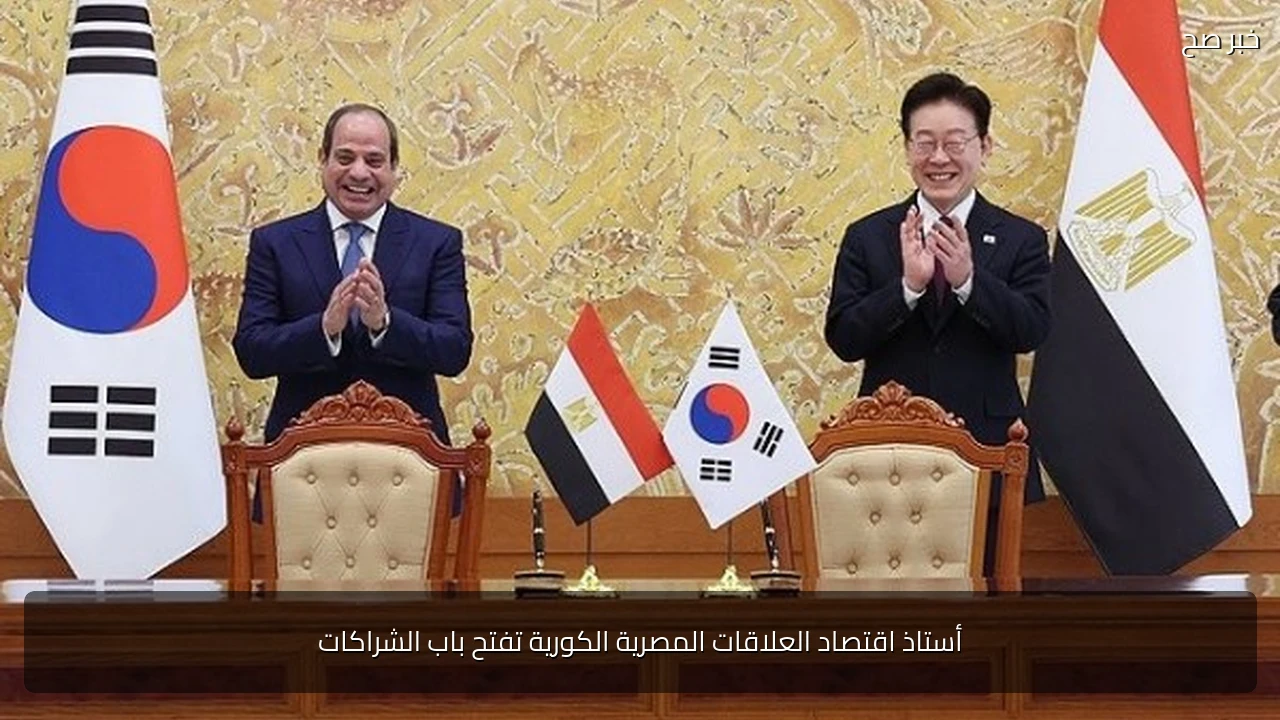 أستاذ اقتصاد العلاقات المصرية الكورية تفتح باب الشراكات