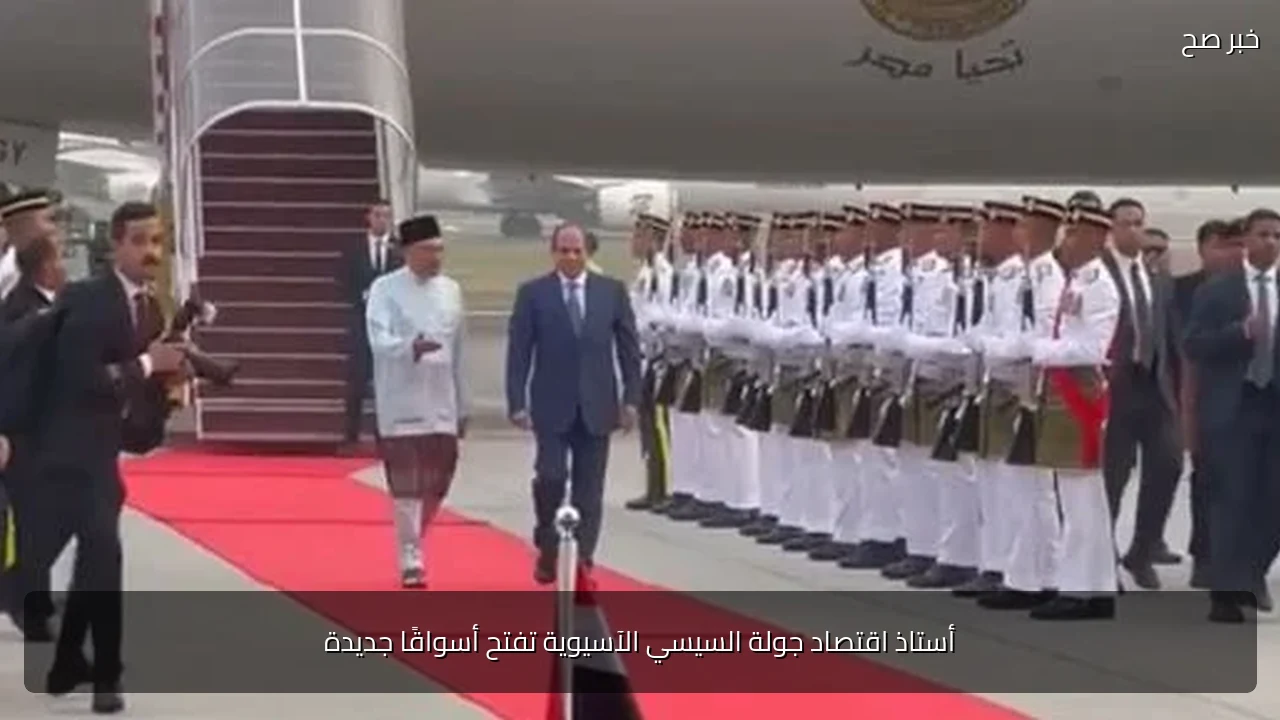 أستاذ اقتصاد جولة السيسي الآسيوية تفتح أسواقًا جديدة