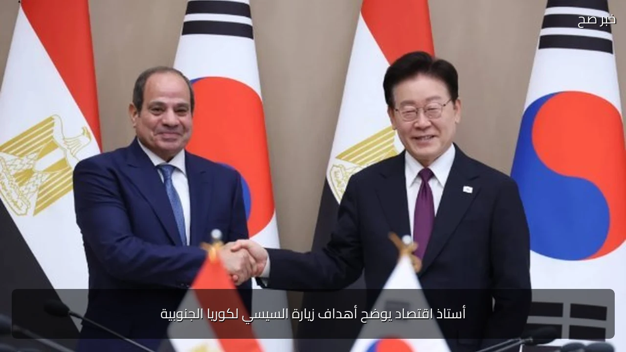 أستاذ اقتصاد يوضح أهداف زيارة السيسي لكوريا الجنوبية
