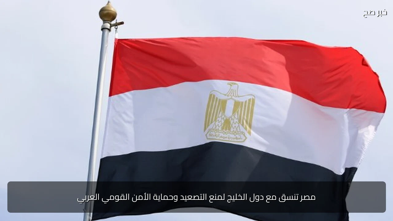 مصر تنسق مع دول الخليج لمنع التصعيد وحماية الأمن القومي العربي