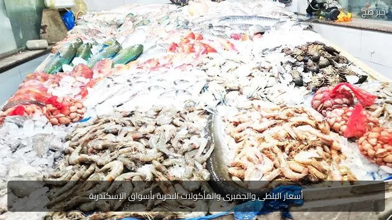 أسعار البلطى والجمبرى والمأكولات البحرية بأسواق الإسكندرية