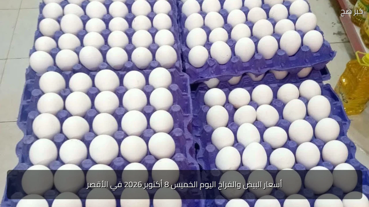 أسعار البيض والفراخ اليوم الخميس 8 أكتوبر 2026 في الأقصر