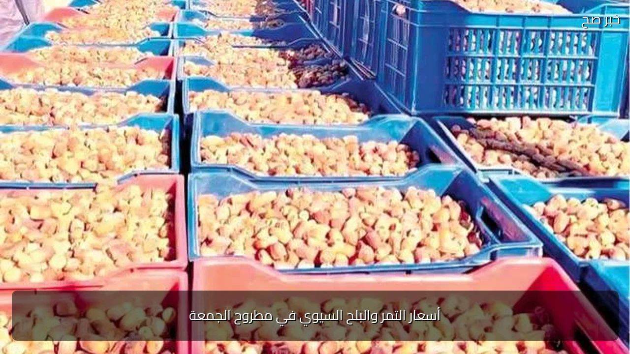 أسعار التمر والبلح السيوي في مطروح الجمعة