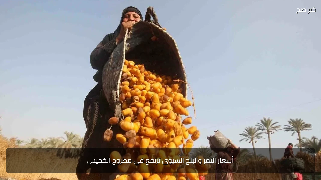 أسعار التمر والبلح السيوى ترتفع في مطروح الخميس