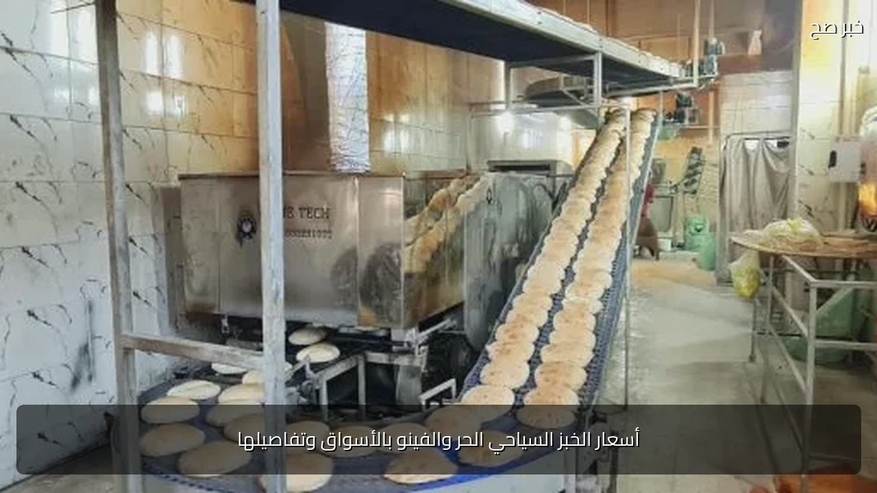 أسعار الخبز السياحي الحر والفينو بالأسواق وتفاصيلها