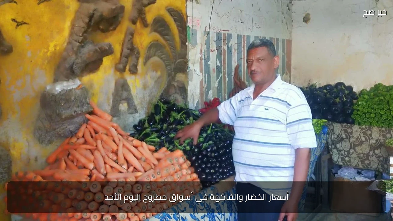 أسعار الخضار والفاكهة في أسواق مطروح اليوم الأحد