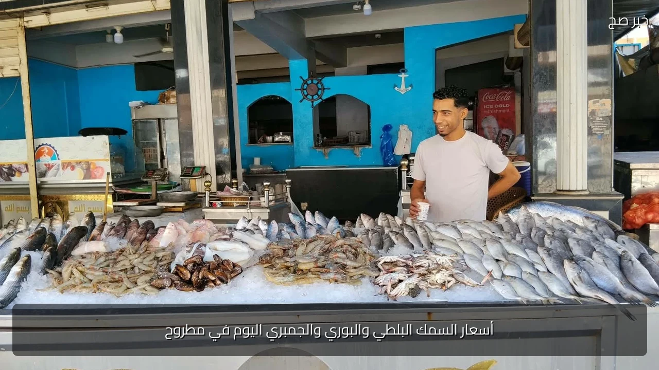 أسعار السمك البلطي والبوري والجمبري اليوم في مطروح
