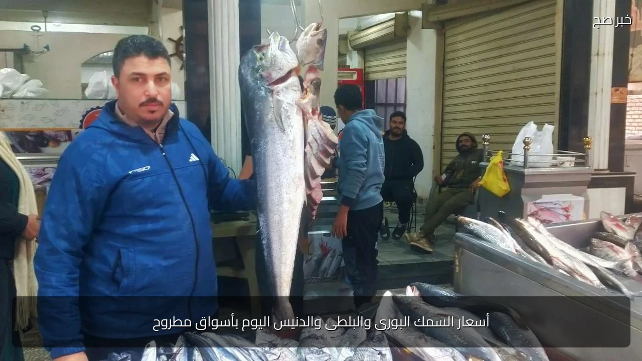 أسعار السمك البورى والبلطى والدنيس اليوم بأسواق مطروح