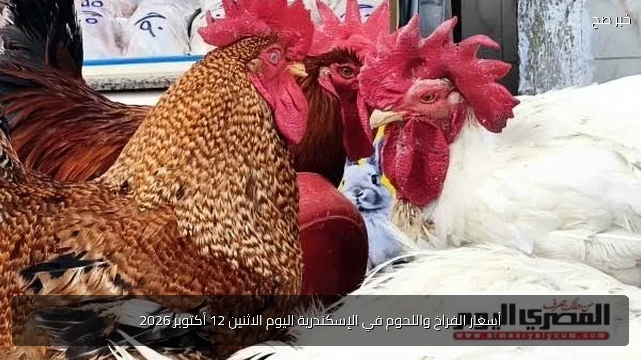 أسعار الفراخ واللحوم في الإسكندرية اليوم الاثنين 12 أكتوبر 2026