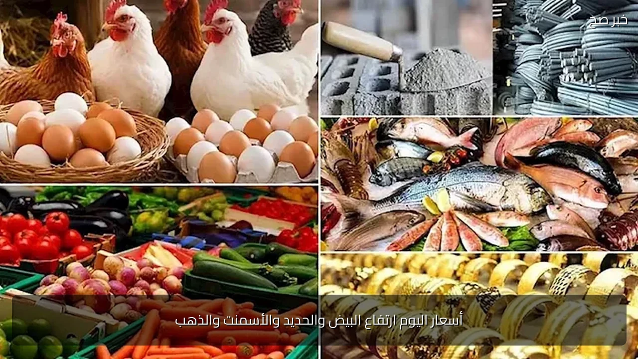 أسعار اليوم ارتفاع البيض والحديد والأسمنت والذهب